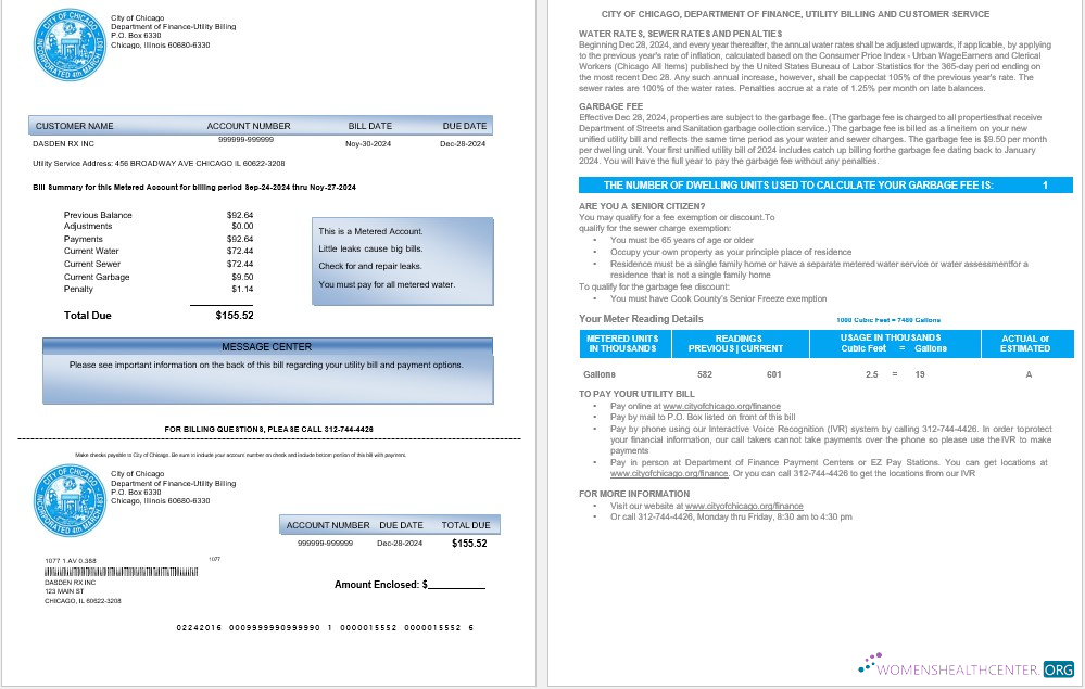 Download USA CITY OF CHICAGO business utility bill Word and PDF template Photoshop template